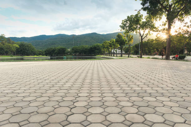 Best Driveway Pavers Contractor  in Elk Plain, WA