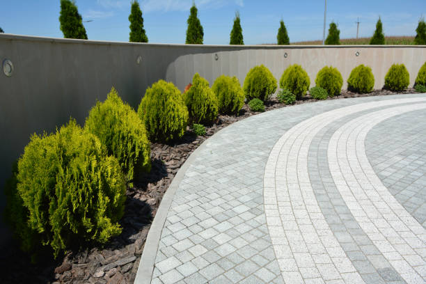 Best Brick Driveway Pavers  in Elk Plain, WA